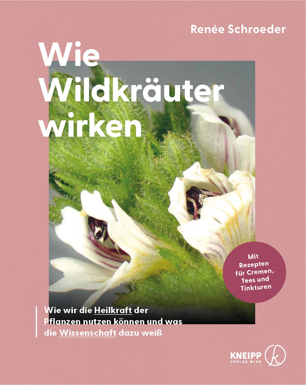 © Buchpräsentation: „Wie Wildkräuter wirken“